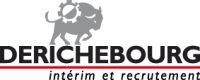 logoderichebourgbl
